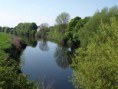 /album/my-local-birding-gallery/the-river-calder-at-horbury-bridge-jpg/